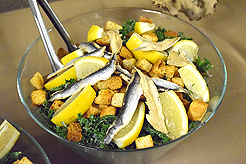 CAMP EVAN BAR MITZVAH